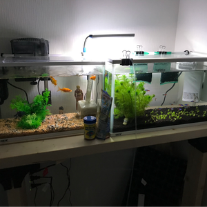 M.K Lifetime のアイコン